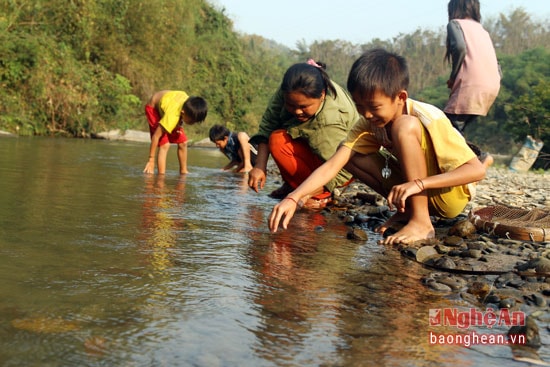 Mỗi khi người lớn ngăn suối, những đứa trẻ này cũng theo bố mẹ đi kiếm cá, nòng nọc về cải thiện bữa ăn.