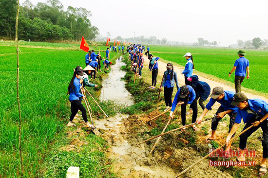 300 đoàn viên thanh niên Đô Lương tham gia nạo vét kênh mương tại xã Hiến Sơn. Ảnh: Tất Hùng.