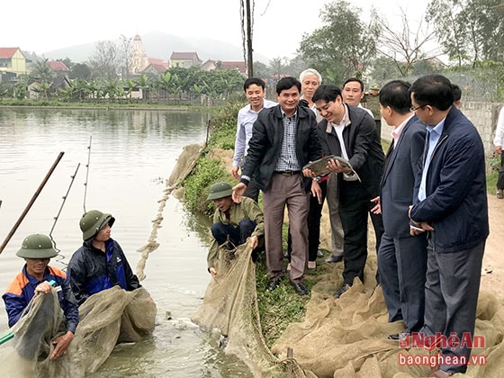 Bí thư Tỉnh ủy Nguyễn Đắc Vinh thăm mô hình nuôi cá của anh Dương Đăng Tiến, xã Diễn Yên, huyện Diễn Châu. Ảnh: Thành Duy.