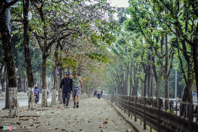 Bác Ngô Xuân Hiển (phường Ngọc Khánh, Ba Đình) chia sẻ: “Ngày nào tôi cũng đi bộ mấy tiếng đồng hồ trên vỉa hè đường Kim Mã này, nhiều cây cối thoáng mát, trong lành. Hà Nội còn được mấy chỗ như thế này đâu”.