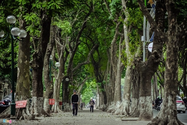 Phương tiện giao thông lưu chuyển tại đây không quá cao, ít khi xảy ra tắc đường nên vỉa hè thực sự thuộc về người đi bộ.