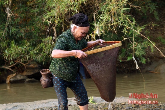 Tuy đã hơn 70 tuổi nhưng ngày này qua ngày khác, bà Lô Thị Diệu vẫn cần mẫn ra suối xúc cá, nòng nọc về cải thiện bữa ăn cho gia đình. Ảnh: Đào Thọ.