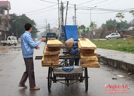 Nhà ở khối 11, phường Bến Thủy, thành phố Vinh, hơn 16 năm nay, bà Nguyễn Thị Song (1964) vẫn cần mẫn đạp xe xích lô nuôi gia đình. Kể từ khi chồng mất vì ung thư cách đây 3 năm, mọi gánh nặng nuôi các con đang tuổi ăn tuổi học đều đè nặng lên đôi vai của bà. Sáng sớm, từ 5 sáng bà đã thức dậy lo liệu mọi việc trong gia đình rồi đạp chiếc xe 3 bánh đi bốc vác, chở hàng. Cứ từ 7 giờ đến 17,18 giờ, chân cầu Cửa Tiền là nơi tập trung của bà Song và 4,5 người phụ nữ khác làm nghề như bà.