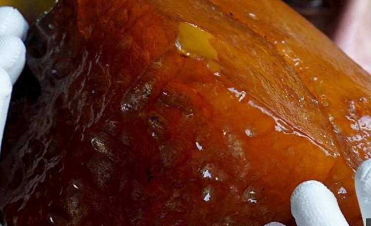 Đây là hổ phách có thể được hình thành từ 50 triệu năm trước.