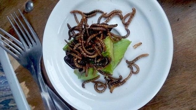 Châu chấu và sâu gạo ở Le Festin Nu (Paris, Pháp): Hai loại côn trùng này được người dân châu Phi và châu Á dùng làm thức ăn từ lâu, nhờ giá trị dinh dưỡng cao, giàu protein và ít chất béo. Chúng có lớp vỏ giòn và vị ngậy như lạc.