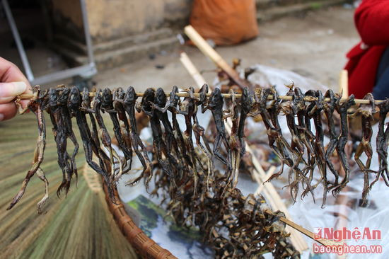 3.Chị Kha Thị Duyên – Bản Na Tổng cho biết “ Mấy ngày này nắng ấm nên gia đình chị bán được nhái rất, sau khi bắt về chì làm sạch treo trên bếp để đến chợ phiên đem bán” nhái được bà con mua về để nấu món nhoọc đây là mon ăn rất yêu thích của đồng bào dân tộc Thái miền Tây Nghệ An4.Mỗi xâu nhái như thế này được chị Duyên bán 10.000 đồng