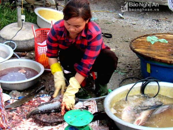 Sơ chế cá trực tiếp ngay bên vệ đường ở chợ quê xã Hưng Thịnh (Hưng Nguyên).