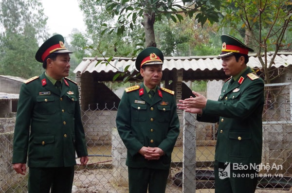 Đoàn kiểm tra khu căn cứ Hậu cần – Kỹ thuật Ban CHQS huyện Quỳnh Lưu.
