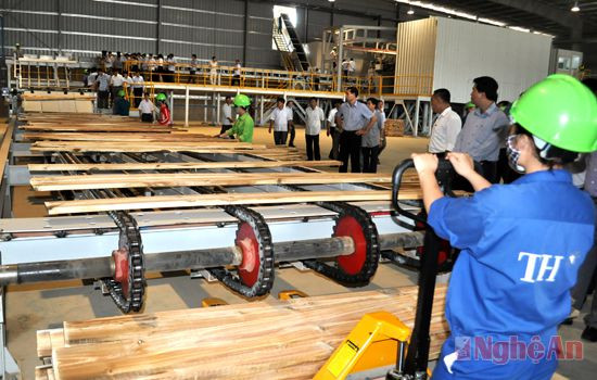 Dây chuyền sản xuất ván ghép thanh tại Nhà máy chế biến gỗ Nghệ An. Ảnh: Hải Yến