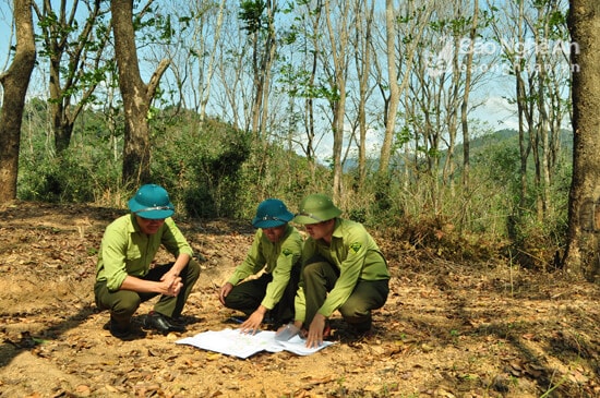 Cán bộ Ban quản lý rừng phòng hộ Kỳ Sơn kiểm tra quy hoạch bảo vệ rừng phòng hộ