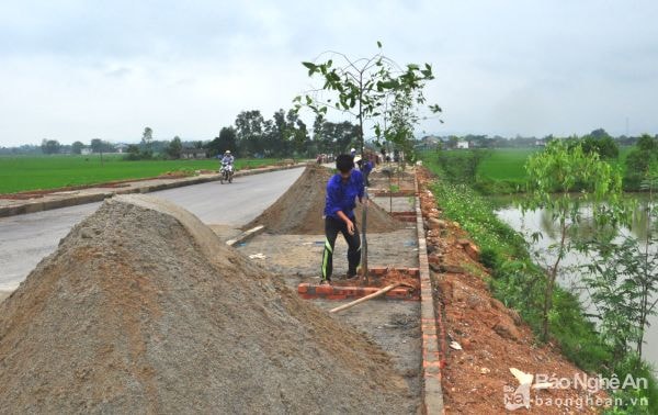 Trồng cây bóng mát trên tuyến đường làm mới ở Nam Đàn. Ảnh: Mai Hoa