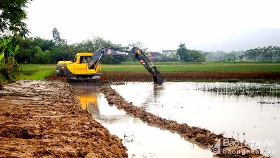 Xã Xuân Hòa thực hiện chỉnh trang đồng ruộng, chuyển dịch cơ cấu cầy trồng. Ảnh: Mai Hoa