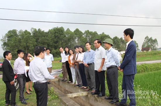 Đoàn khảo sát thực tế tiến độ thi công dự án cải tạo, nâng cấp hệ thông kênh tưới phục vụ 11 xã phía Tây huyện Nghi Lộc. Ảnh: Mai Hoa.