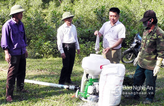 Cán bộ kỹ thuật ngành lâm nghiệp  Yên Thành hướng dẫn kỹ thuật dùng chế phẩm sinh học Boverin để phòng trừ sâu róm hại thông. Ảnh: Thái Dương