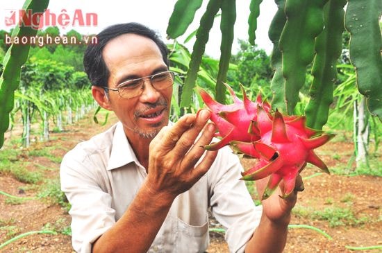 Mô hình trang trại ông Đặng Anh Tuấn xóm 4 cho thu nhập hàng tỷ đồng mỗi năm. Ảnh: Lương Mai