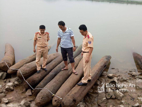 Lô gỗ vận chuyển trái phép trên sông Lam bị bắt giữ. Ảnh: Thảo Nguyên
