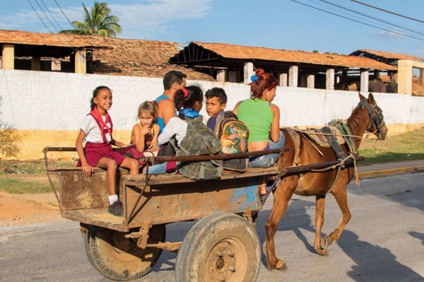 Ở thành phố Trinidad, Cuba, học sinh trèo lên chiếc xe ngựa và được kéo đến trường mỗi sáng.