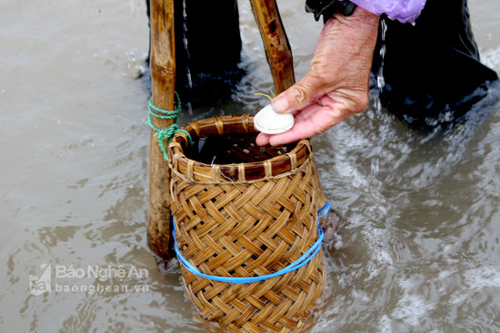 Cào Ngao ở Diễn Châu. Ảnh: Quang An