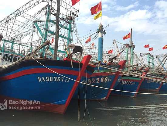 Đội tàu đánh bắt xa bờ xã Quỳnh Lập - Hoàng Mai.