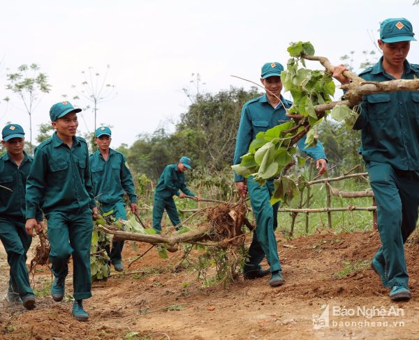 Lực lượng dân quân tự vệ Con Cuông giúp dân mở đường vào vùng trồng rừng nguyên liệu.Ảnh: Hồ Phương