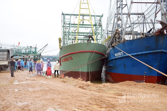 Bờ Bắc của cảng cá Lạch quèn chưa được đầu tư nâng cấp nên mặt cảng luôn lầy lội, thậm chí tàu thuyền không có chỗ neo an toàn. Ảnh: Xuân Hoàng