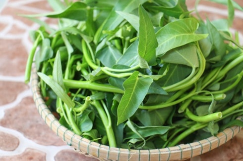 Rau muống bị nhiễm độc chì khi ăn thường có vị chát.