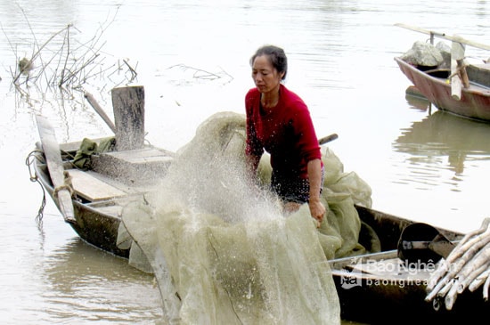 Tận dụng quy luật lên xuống của con nước, những người dân ven bờ sông Lam tại xã Hưng Nhân, Hưng Nguyên phát triển nghề đăng cá từ thời xa xưa. Trước mỗi lần thả lưới, thợ đăng cá phải giũ sạch lưới. Tấm lưới này là ngư cụ chính để đánh bắt cá tôm ven bờ Lam, có chiều rộng khoảng 3,5 m, chiều dài thì tùy theo điều kiện kinh tế của người thợ đăng và diện tích của khu vực đánh bắt. Ảnh Quang An