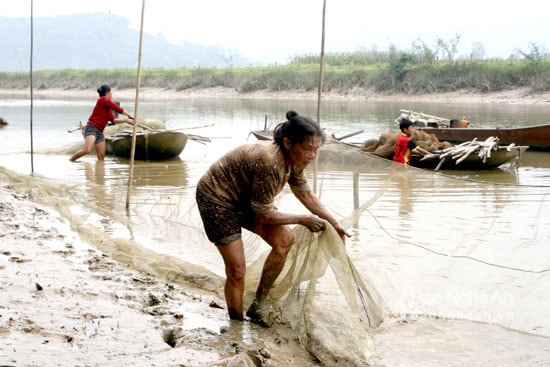 Bà Nhung, xóm 9, Hưng Nhân cho biết : Tôi làm nghề này từ thời còn trẻ, nay cũng đã hơn 20 năm. Người thợ đăng phải lặn lội hàng giờ dưới bùn nước để bắt tôm cá. Trung bình có thể vớt được 1 – 2 lượt/ngày. Thời điểm vớt thường kéo dài từ 11 giờ đến 2 giờ trưa. Ảnh Quang An