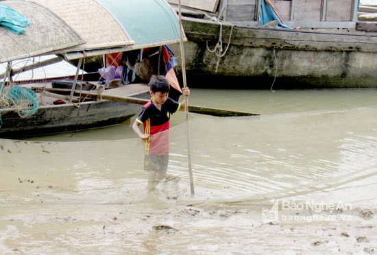 Chiều, sau tan học, cậu bé này theo mẹ kiểm tra lưới đăng. Quang An