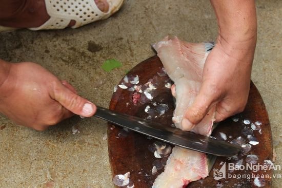 Sau khi cá được rửa sạch sẽ dùng dao sắc mổ dọc theo sống lưng cá từđầu đến đuôi để lấy được nguyên lườn cá. Khéo léo tách đôi con cá, bỏ ruột, rửa cá sạch. Việc lóc thịt cá cũng đòi hỏi người khéo tay. Ảnh: Đình Tuân