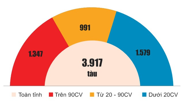 Biểu đồ số lượng tàu cá toàn tỉnh. Đồ họa: Hồng Toại