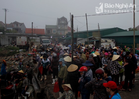 Từ khi trời còn mờ sáng , hàng trăm thương lái đã tập trung tại đây để chờ những chiếc thuyền chở đầy hải sản tươi ngon của ngư dân trong vùng cập bến.