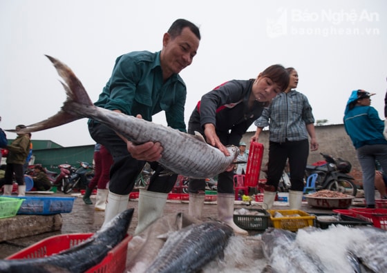 Và cũng không thể thiếu những con cá thu câu ngon nức tiếng.