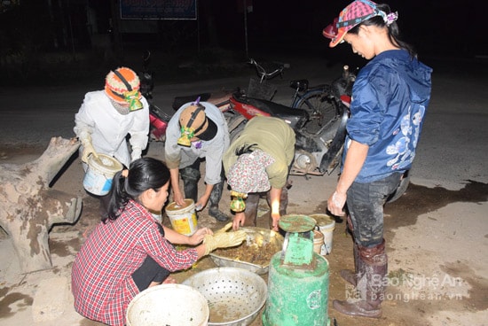 Đến 9 giờ đêm, bà con tập trung tại ngã tư xã Bắc Thành để nhập cho thương lái, kịp chuyển dam ra Hà Nội, Hải Phòng bằng xe khách. Ảnh: Quang An