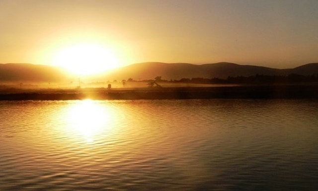 Tirat Zvi là vùng đất định cư ở thung lũng Beit She'an, Israel. Ánh nắng Mặt Trời liên tục thiêu đốt nơi đây trong những tháng mùa hè. Tháng 6/1942, Tirat Zvi đạt mức nhiệt độ cao nhất so với các khu vực khác ở châu Á là 53,8 độ C. Để tránh nóng, người dân thường xuyên ngâm mình trong hồ bơi và trồng cây quanh nhà tạo bóng râm. Ảnh: Kinneret Yifrah/Flickr.