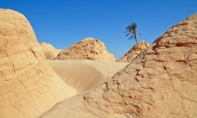 Kebili, một ốc đảo miền trung Tunisia, là nơi người dân thường lui tới để tránh nóng do có những cây cọ tạo bóng râm và nguồn nước. Nhưng Kebili là một trong những nơi có nhiệt độ cao nhất tại châu Phi. Nhiệt độ cao nhất từng được ghi nhận ở Kebili khoảng 55 độ C. Ảnh: Dennis Jarvis/Flickr.