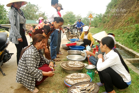 Cá mòi tươi, nướng được bán nhiều ở cả các chợ, nhưng tươi ngon nhất vẫn là ở các bến sông gần làng vạn chài. Ảnh: Trần Đình Hà 