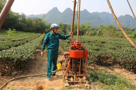 Gia đình bà Vi Thị Liên ở bản Tỏ xã Yên Khê huyện Con Cuông phải thuê người khoan giếng ngay tại vườn chè để có nước chông hạn cho cây