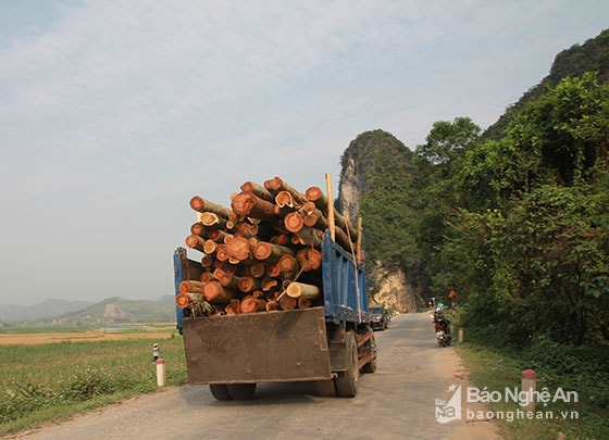 Xe quá khổ, quá tải vẫn lưu thông trên nhiều tuyến đường. Ảnh tư liệu