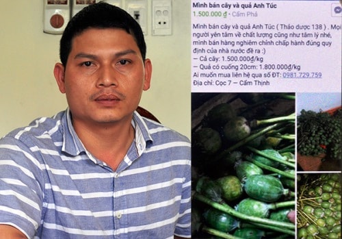 chu-phong-kham-y-hoc-co-truyen-bi-bat-vi-rao-ban-cay-thuoc-phien