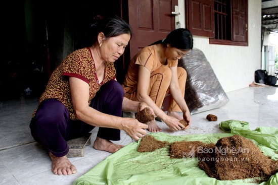 Sợi thuốc lào thành phẩm có màu nâu đậm, thơm, người dân sẽ gói lại thành từng bánh. Mỗi nong phơi khô có thể gói được từ 26 – 30 bánh thuốc lào. Sau đó đóng gói bằng ni lông để chống ẩm và xuất đi các địa phương. Ảnh: Quang An