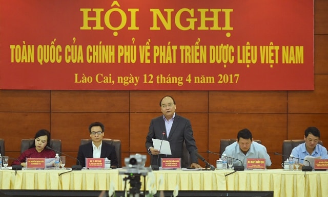 Thủ tướng Nguyễn Xuân Phúc đã chủ trì Hội nghị toàn quốc của Chính phủ về phát triển dược liệu Việt Nam.