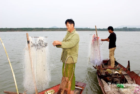 Ngay từ đầu chiều, người dân các xóm vạn chài Hà Long, xã Thanh Hà, Giang Thủy xã Thanh Giang đã tập trung về các bến trên sông Lam, đoạn giáp ranh giữa hai xã này để đánh cá. Ở đây sông trảng, thẳng, cạn, việc đánh bắt cá có nhiều thuận lợi. Ảnh: Huy Thư