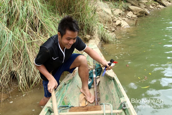 Tuy nhiên, do bị trúng đạn nên chú chim dễ dàng bị tóm gọn. Ảnh: Minh Khuê