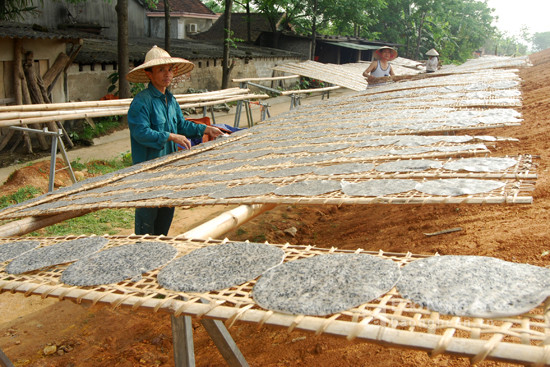 Làng nghề bánh đa truyền thống ở Thanh Chương. Ảnh Trần Đình Hà