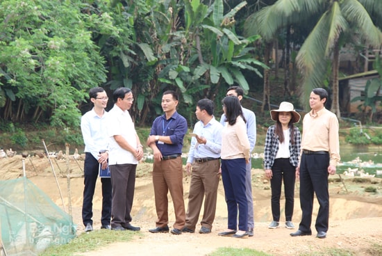 Đoàn giám sat của Thường trực HĐND tỉnh tìm hiểu mô hình kinh tế tại xã Quế Sơn, huyện Quế Phong. Ảnh: Mai Hoa