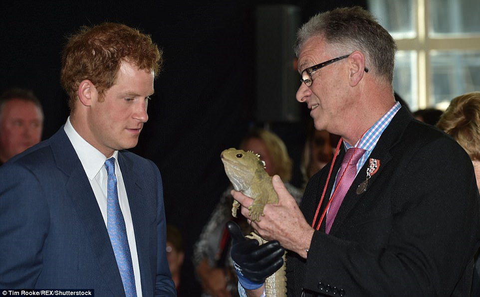 Henry, bảo tàng Southland, New Zealand (120 tuổi): Được mệnh danh là khủng long sống, loài tuatara có hình dáng giống thằn lăn nhưng thực chất là một giống đã sống từ trước thời khủng long và vượt qua được thảm họa tuyệt chủng. Henry được cho là con tuatara lớn tuổi nhất New Zealand.