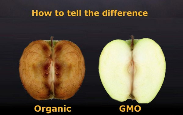 GMO không như quảng cáo. Ảnh: Daily.mk