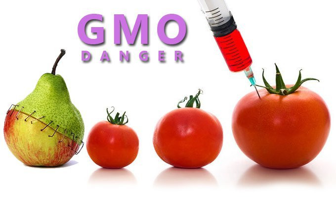 Nhiều GMO có nghĩa là sử dụng nhiều chất hóa học hơn. Ảnh: Bpn.ge