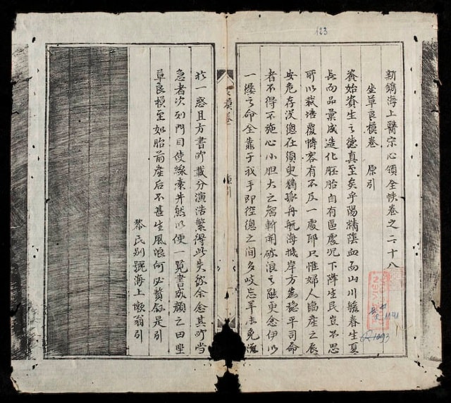 Quyển thứ 28 của Hải Thượng y tông tâm lĩnh, bản năm 1885, lưu tại thư viện Quốc gia Việt Nam.